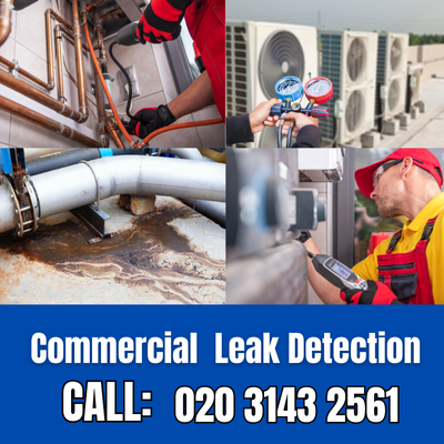 Commercial Leak Detection Services in West Wickham | West Wickham Leak Detection