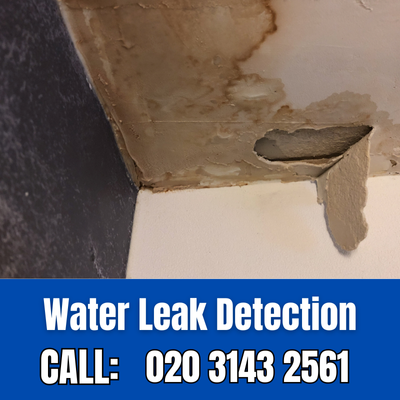 Expert Water Leak Detection Services in West Wickham | West Wickham Leak Detection